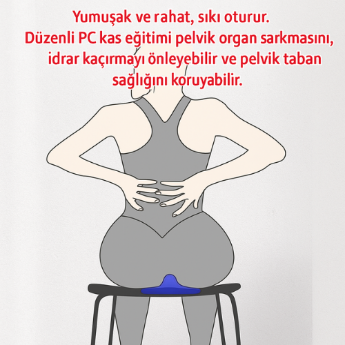 Pelvoe™ Şarjlı Pelvik Egzersiz Cihazı